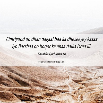 Picture 06 - Boqorradii Kowaad 15:32 SOM - Cimrigood oo dhan dagaal baa ka dhexeeyey Aasaa - Bible Verse Picture