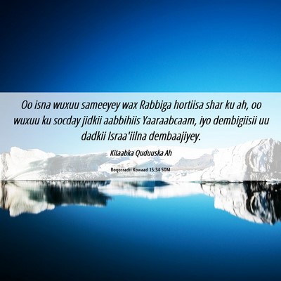 Picture 06 - Boqorradii Kowaad 15:34 SOM - Oo isna wuxuu sameeyey wax Rabbiga hortiisa shar - Bible Verse Picture