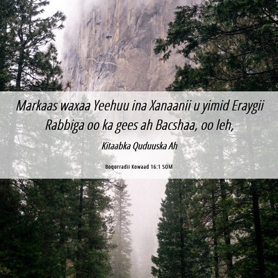 Picture 06 - Boqorradii Kowaad 16:1 SOM - Markaas waxaa Yeehuu ina Xanaanii u yimid Eraygii - Bible Verse Picture