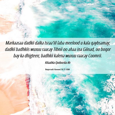 Picture 06 - Boqorradii Kowaad 16:21 SOM - Markaasaa dadkii dalka Israa'iil laba meelood u - Bible Verse Picture