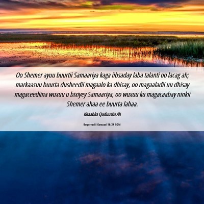 Picture 06 - Boqorradii Kowaad 16:24 SOM - Oo Shemer ayuu buurtii Samaariya kaga iibsaday - Bible Verse Picture