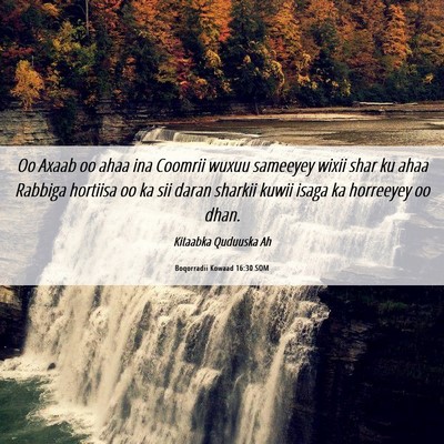 Picture 06 - Boqorradii Kowaad 16:30 SOM - Oo Axaab oo ahaa ina Coomrii wuxuu sameeyey wixii - Bible Verse Picture