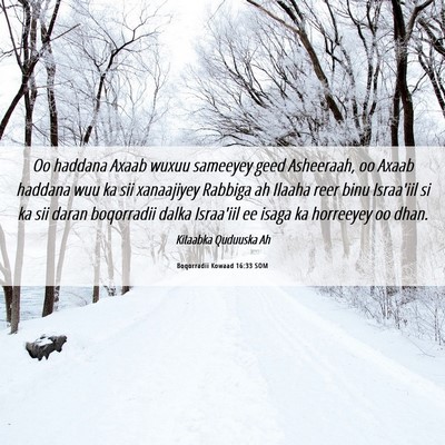 Picture 06 - Boqorradii Kowaad 16:33 SOM - Oo haddana Axaab wuxuu sameeyey geed Asheeraah, - Bible Verse Picture