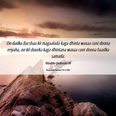 Picture 06 - Boqorradii Kowaad 16:4 SOM - Oo dadka Bacshaa kii magaalada kaga dhinta waxaa - Bible Verse Picture