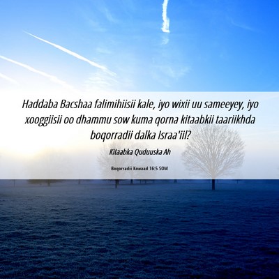 Picture 06 - Boqorradii Kowaad 16:5 SOM - Haddaba Bacshaa falimihiisii kale, iyo wixii uu - Bible Verse Picture