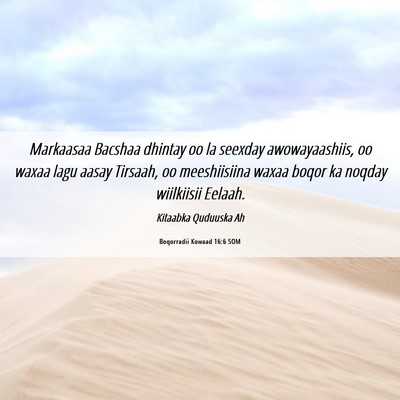 Picture 06 - Boqorradii Kowaad 16:6 SOM - Markaasaa Bacshaa dhintay oo la seexday - Bible Verse Picture
