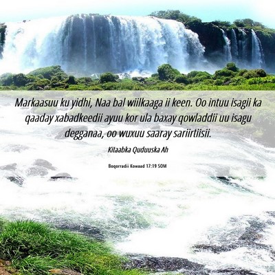 Picture 06 - Boqorradii Kowaad 17:19 SOM - Markaasuu ku yidhi, Naa bal wiilkaaga ii keen. Oo - Bible Verse Picture