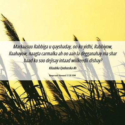 Picture 06 - Boqorradii Kowaad 17:20 SOM - Markaasuu Rabbiga u qayshaday, oo ku yidhi, - Bible Verse Picture
