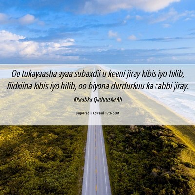 Picture 06 - Boqorradii Kowaad 17:6 SOM - Oo tukayaasha ayaa subaxdii u keeni jiray kibis - Bible Verse Picture