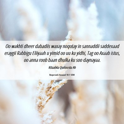 Picture 06 - Boqorradii Kowaad 18:1 SOM - Oo wakhti dheer dabadiis waxay noqotay in - Bible Verse Picture
