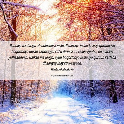 Picture 06 - Boqorradii Kowaad 18:10 SOM - Rabbiga Ilaahaaga ah noloshiisaan ku dhaartaye - Bible Verse Picture