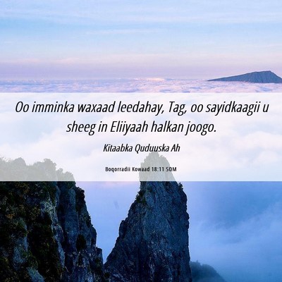 Picture 06 - Boqorradii Kowaad 18:11 SOM - Oo imminka waxaad leedahay, Tag, oo sayidkaagii u - Bible Verse Picture