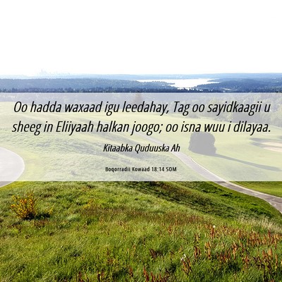 Picture 06 - Boqorradii Kowaad 18:14 SOM - Oo hadda waxaad igu leedahay, Tag oo sayidkaagii - Bible Verse Picture