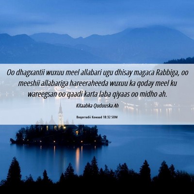 Picture 06 - Boqorradii Kowaad 18:32 SOM - Oo dhagxantii wuxuu meel allabari ugu dhisay - Bible Verse Picture