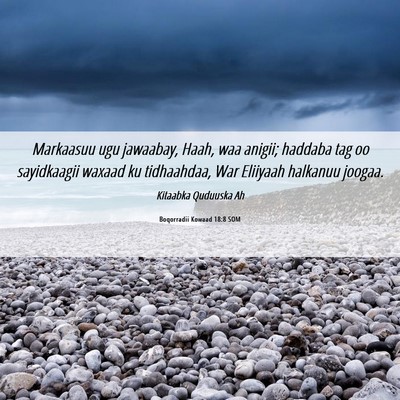 Picture 06 - Boqorradii Kowaad 18:8 SOM - Markaasuu ugu jawaabay, Haah, waa anigii; haddaba - Bible Verse Picture