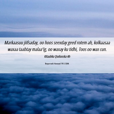 Picture 06 - Boqorradii Kowaad 19:5 SOM - Markaasuu jiifsaday, oo hoos seexday geed rotem - Bible Verse Picture