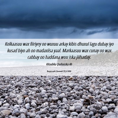 Picture 06 - Boqorradii Kowaad 19:6 SOM - Kolkaasuu wax fiiriyey oo wuxuu arkay kibis - Bible Verse Picture