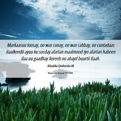 Picture 06 - Boqorradii Kowaad 19:8 SOM - Markaasuu toosay, oo wax cunay, oo wax cabbay, oo - Bible Verse Picture