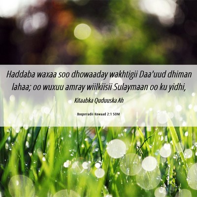 Picture 06 - Boqorradii Kowaad 2:1 SOM - Haddaba waxaa soo dhowaaday wakhtigii Daa'uud - Bible Verse Picture