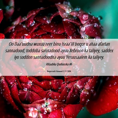 Picture 06 - Boqorradii Kowaad 2:11 SOM - Oo Daa'uudna wuxuu reer binu Israa'iil boqor u - Bible Verse Picture