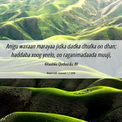 Picture 06 - Boqorradii Kowaad 2:2 SOM - Anigu waxaan marayaa jidka dadka dhulka oo dhan; - Bible Verse Picture
