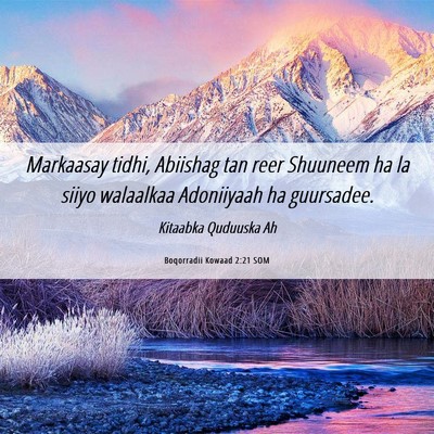 Picture 06 - Boqorradii Kowaad 2:21 SOM - Markaasay tidhi, Abiishag tan reer Shuuneem ha la - Bible Verse Picture