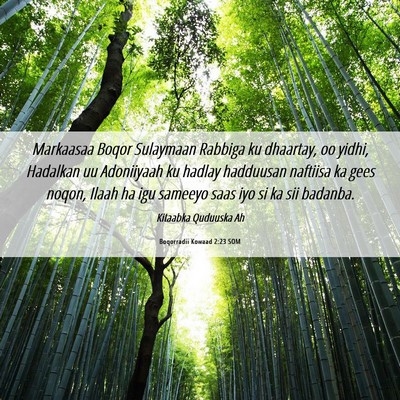Picture 06 - Boqorradii Kowaad 2:23 SOM - Markaasaa Boqor Sulaymaan Rabbiga ku dhaartay, oo - Bible Verse Picture