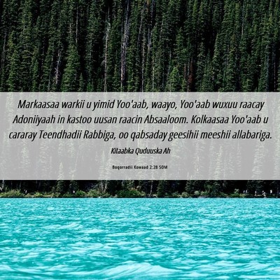 Picture 06 - Boqorradii Kowaad 2:28 SOM - Markaasaa warkii u yimid Yoo'aab, waayo, Yoo'aab - Bible Verse Picture