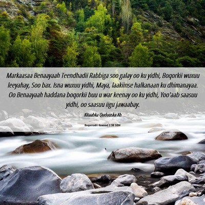 Picture 06 - Boqorradii Kowaad 2:30 SOM - Markaasaa Benaayaah Teendhadii Rabbiga soo galay - Bible Verse Picture