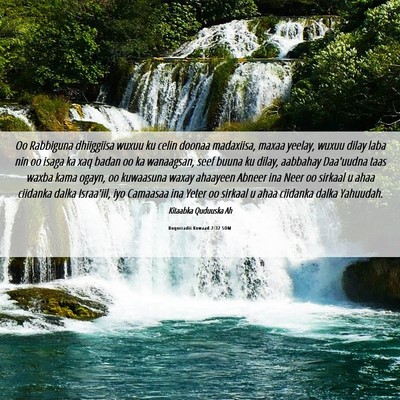 Picture 06 - Boqorradii Kowaad 2:32 SOM - Oo Rabbiguna dhiiggiisa wuxuu ku celin doonaa - Bible Verse Picture