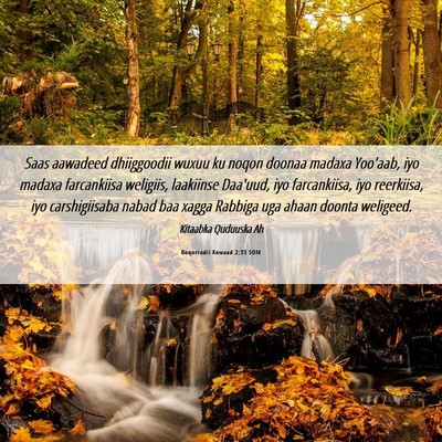 Picture 06 - Boqorradii Kowaad 2:33 SOM - Saas aawadeed dhiiggoodii wuxuu ku noqon doonaa - Bible Verse Picture