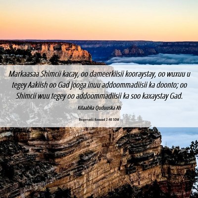 Picture 06 - Boqorradii Kowaad 2:40 SOM - Markaasaa Shimcii kacay, oo dameerkiisii - Bible Verse Picture