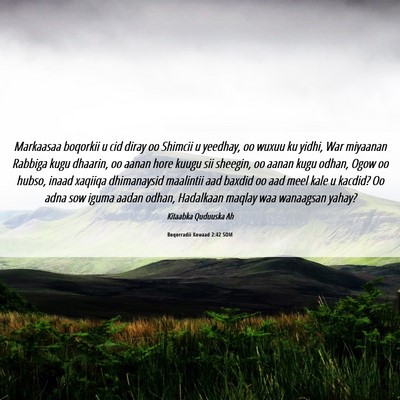 Picture 06 - Boqorradii Kowaad 2:42 SOM - Markaasaa boqorkii u cid diray oo Shimcii u - Bible Verse Picture