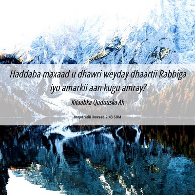 Picture 06 - Boqorradii Kowaad 2:43 SOM - Haddaba maxaad u dhawri weyday dhaartii Rabbiga - Bible Verse Picture
