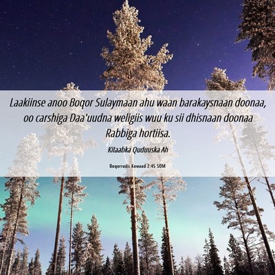 Picture 06 - Boqorradii Kowaad 2:45 SOM - Laakiinse anoo Boqor Sulaymaan ahu waan - Bible Verse Picture