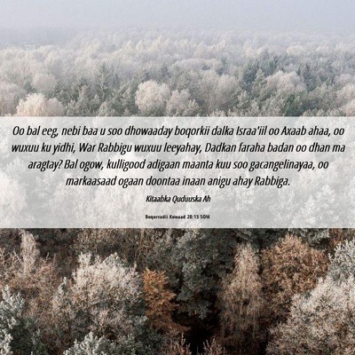 Picture 06 - Boqorradii Kowaad 20:13 SOM - Oo bal eeg, nebi baa u soo dhowaaday boqorkii - Bible Verse Picture