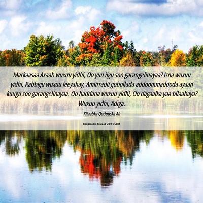 Picture 06 - Boqorradii Kowaad 20:14 SOM - Markaasaa Axaab wuxuu yidhi, Oo yuu iigu soo - Bible Verse Picture