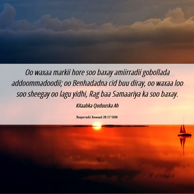 Picture 06 - Boqorradii Kowaad 20:17 SOM - Oo waxaa markii hore soo baxay amiirradii - Bible Verse Picture