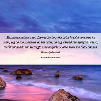Picture 06 - Boqorradii Kowaad 20:22 SOM - Markaasaa nebigii u soo dhowaaday boqorkii dalka - Bible Verse Picture