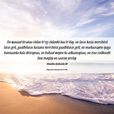 Picture 06 - Boqorradii Kowaad 20:25 SOM - Oo waxaad tirsataa ciidan le'eg ciidankii kaa - Bible Verse Picture