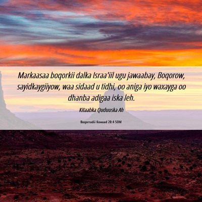 Picture 06 - Boqorradii Kowaad 20:4 SOM - Markaasaa boqorkii dalka Israa'iil ugu jawaabay, - Bible Verse Picture