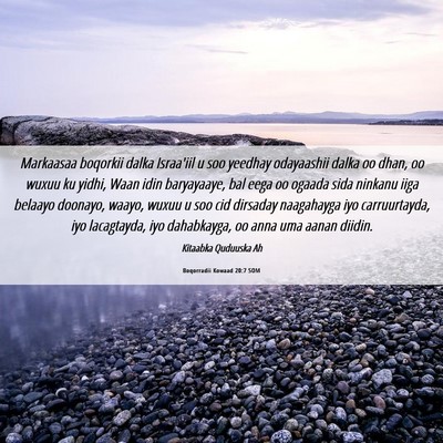 Picture 06 - Boqorradii Kowaad 20:7 SOM - Markaasaa boqorkii dalka Israa'iil u soo yeedhay - Bible Verse Picture