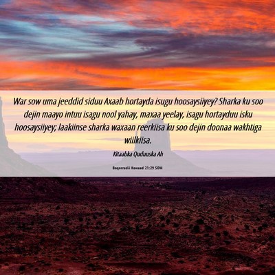 Picture 06 - Boqorradii Kowaad 21:29 SOM - War sow uma jeeddid siduu Axaab hortayda isugu - Bible Verse Picture
