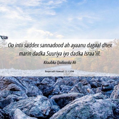 Picture 06 - Boqorradii Kowaad 22:1 SOM - Oo intii saddex sannadood ah ayaanu dagaal dhex - Bible Verse Picture