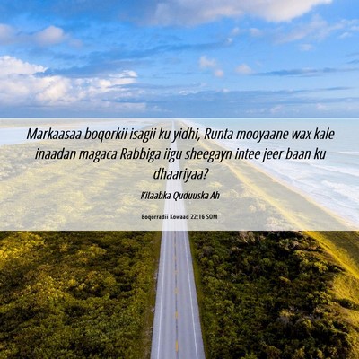 Picture 06 - Boqorradii Kowaad 22:16 SOM - Markaasaa boqorkii isagii ku yidhi, Runta - Bible Verse Picture