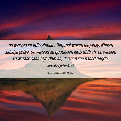 Picture 06 - Boqorradii Kowaad 22:27 SOM - oo waxaad ku tidhaahdaan, Boqorkii wuxuu - Bible Verse Picture
