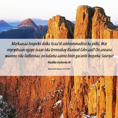 Picture 06 - Boqorradii Kowaad 22:3 SOM - Markaasaa boqorkii dalka Israa'iil addoommadiisii - Bible Verse Picture