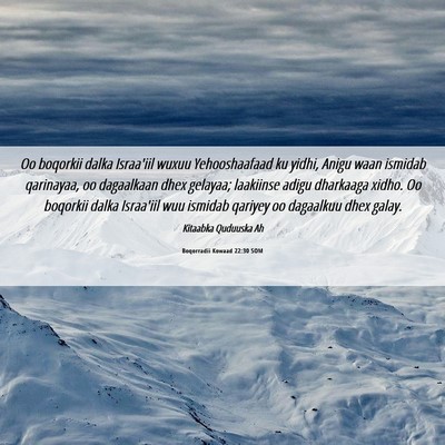 Picture 06 - Boqorradii Kowaad 22:30 SOM - Oo boqorkii dalka Israa'iil wuxuu Yehooshaafaad - Bible Verse Picture