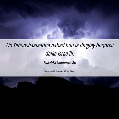 Picture 06 - Boqorradii Kowaad 22:44 SOM - Oo Yehooshaafaadna nabad buu la dhigtay boqorkii - Bible Verse Picture