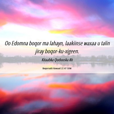 Picture 06 - Boqorradii Kowaad 22:47 SOM - Oo Edomna boqor ma lahayn, laakiinse waxaa u - Bible Verse Picture